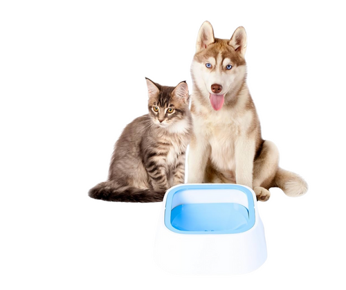 Bebedero cuenco sin derrames